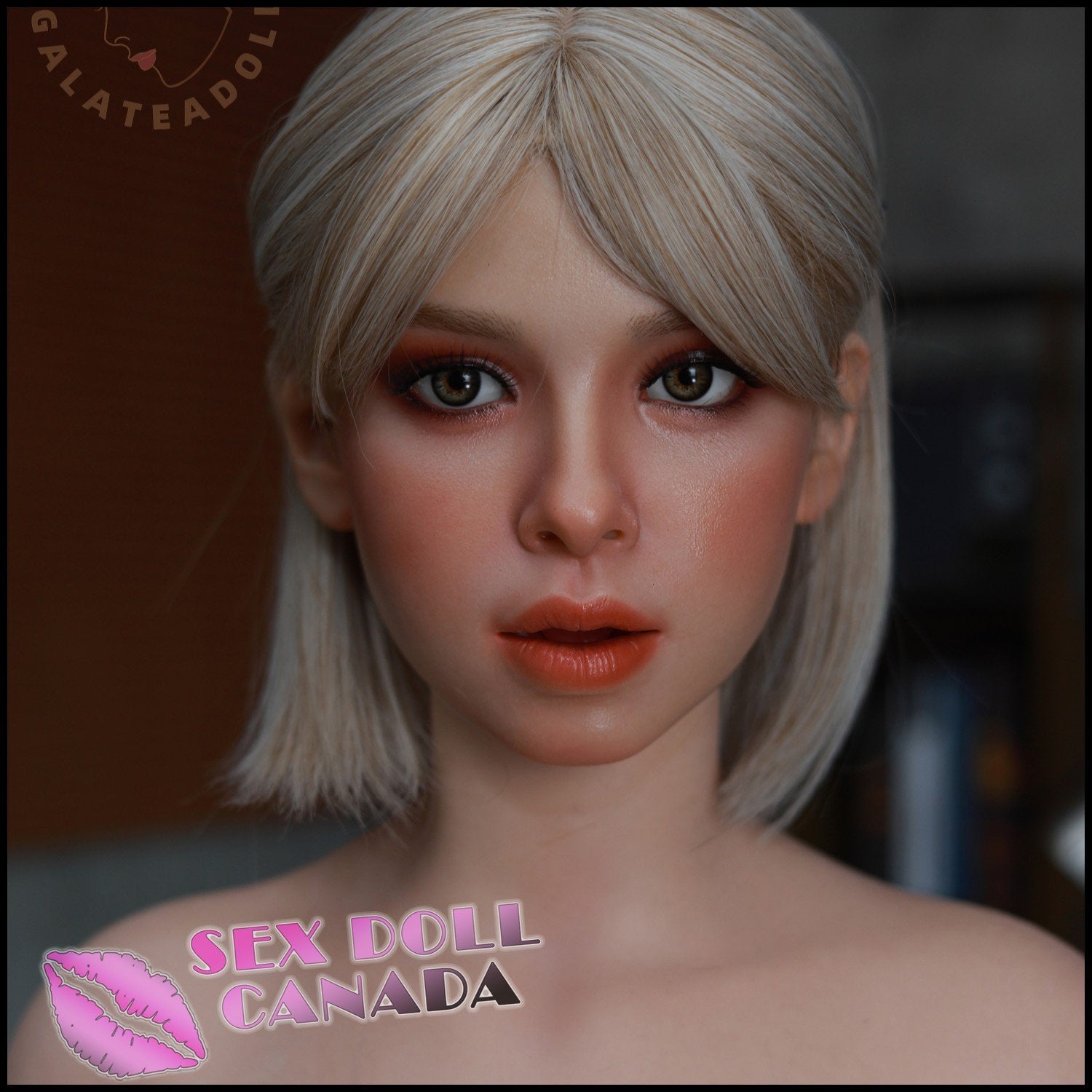 Galatea Doll Realistic Sex Doll Blonde Hair Western American Curvy Full Body