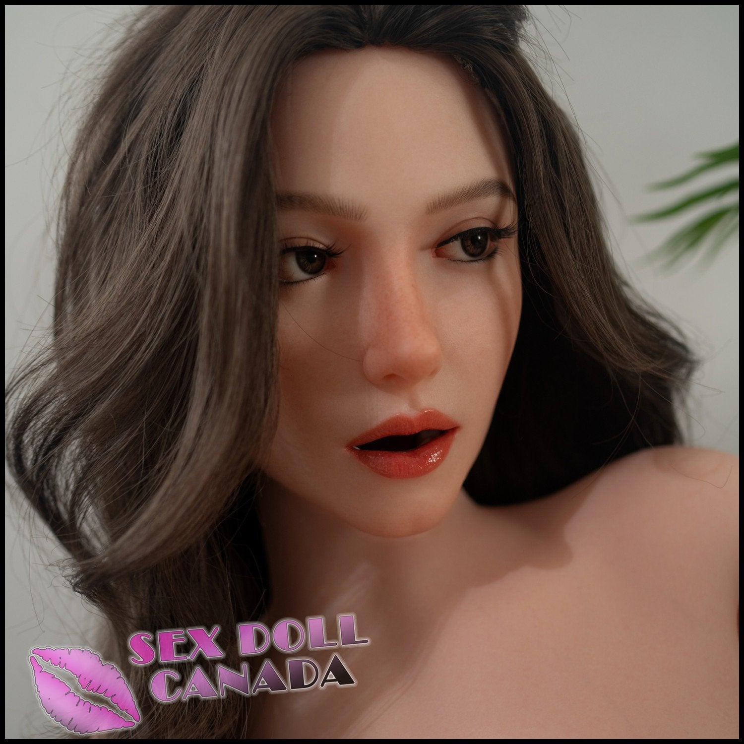 Zelex SLE Realistic Sex Doll Russian German Western American Tall Long Legs