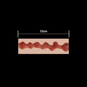 12 cm